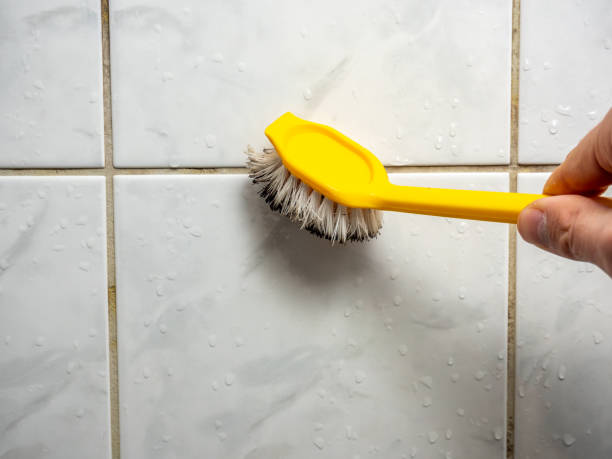 Best Best Mold Removal Companies  in Wilsonville, AL