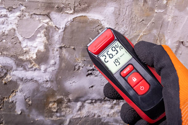  Wilsonville, AL Mold Removal Pros