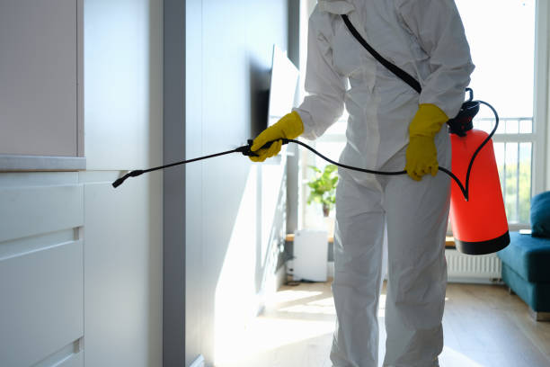 Wilsonville, AL Mold Removal Company