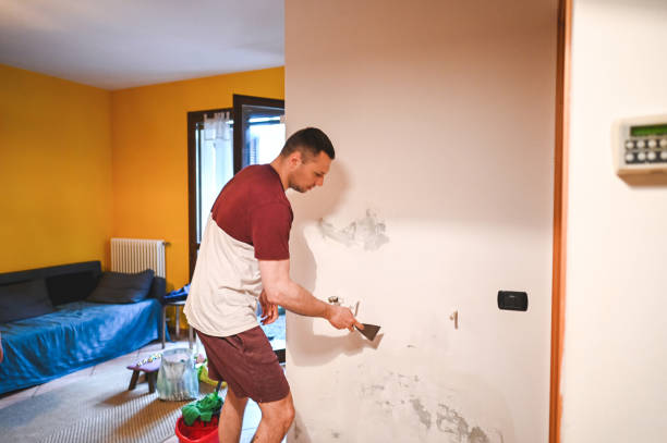 Best Home Mold Removal  in Wilsonville, AL